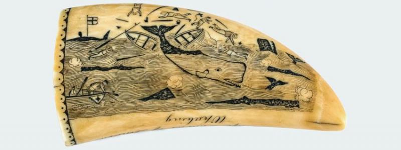 Scrimshaw Materials and Techniques