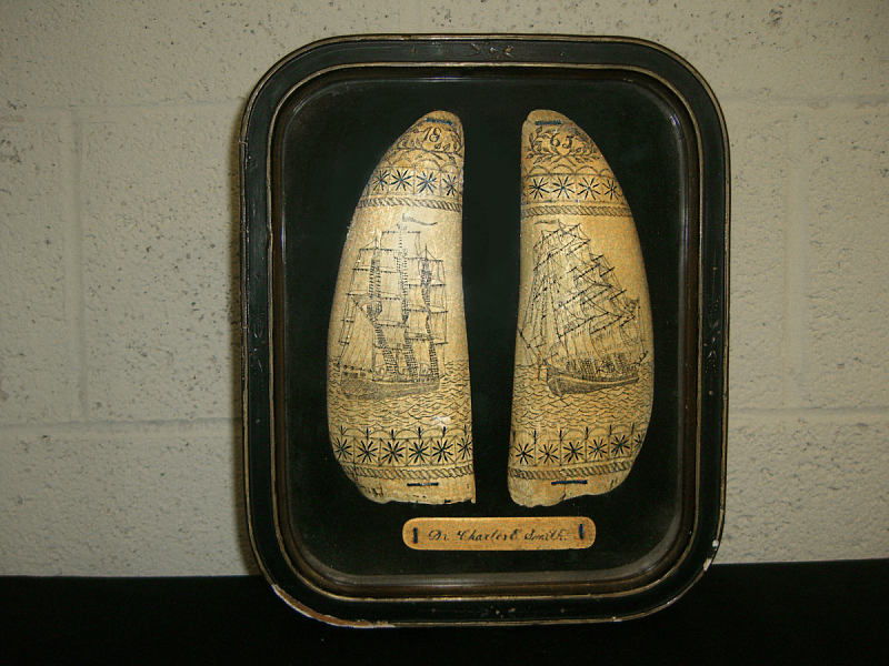 Scrimshaws: Fakes, Reproductions, and Care
