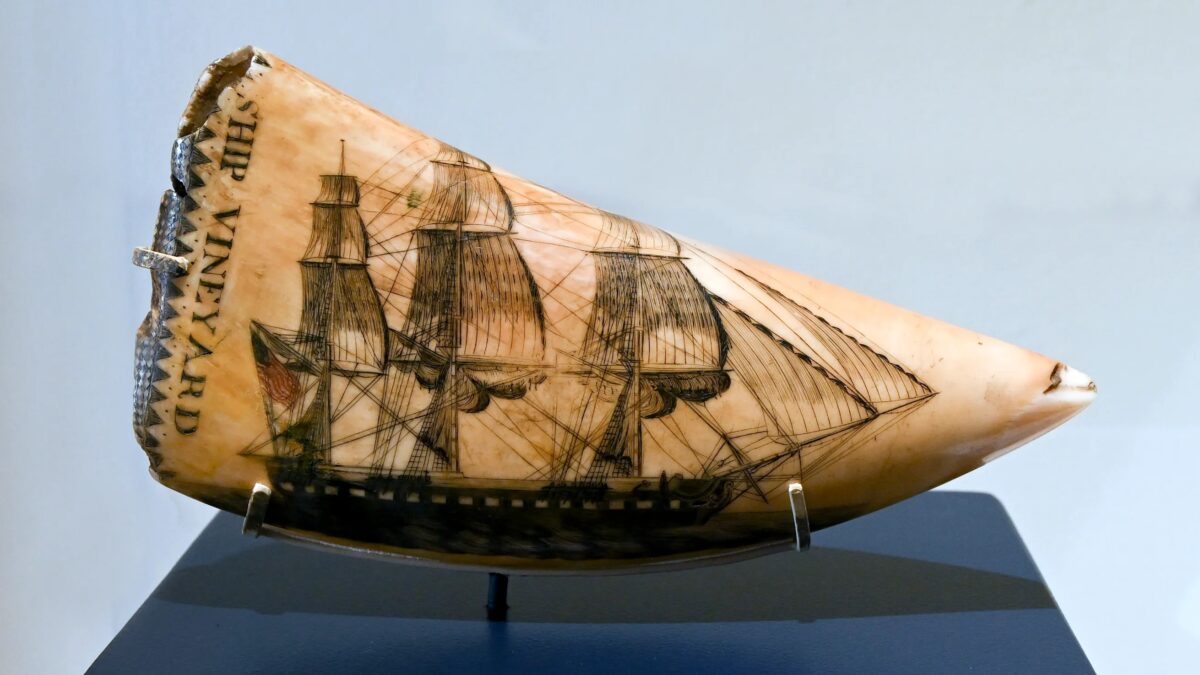 Scrimshaws: A Window into Maritime Life