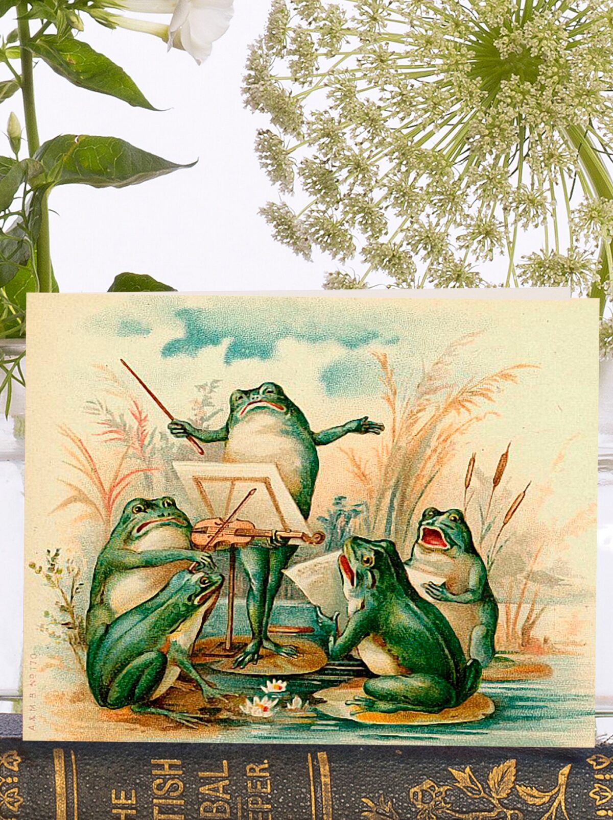 Frog-Themed Ephemera and Art