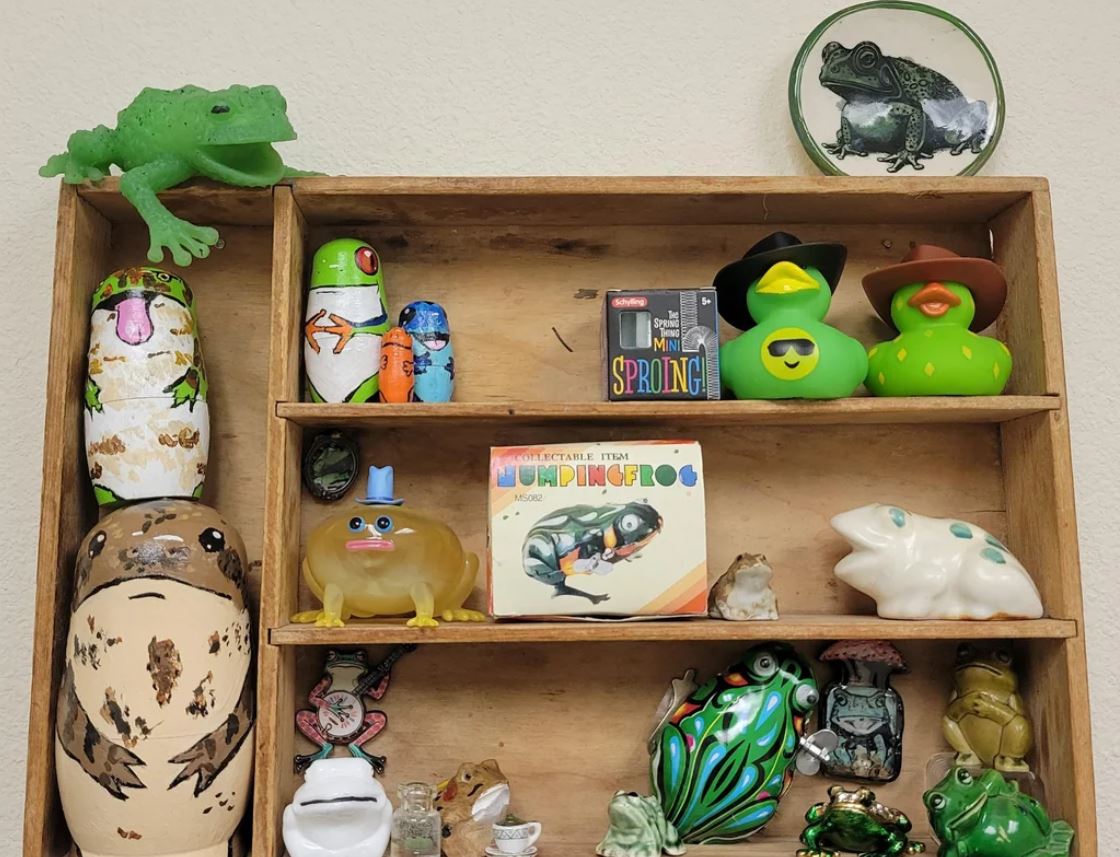 Wrap-Up-Leap Into Frog Collecting