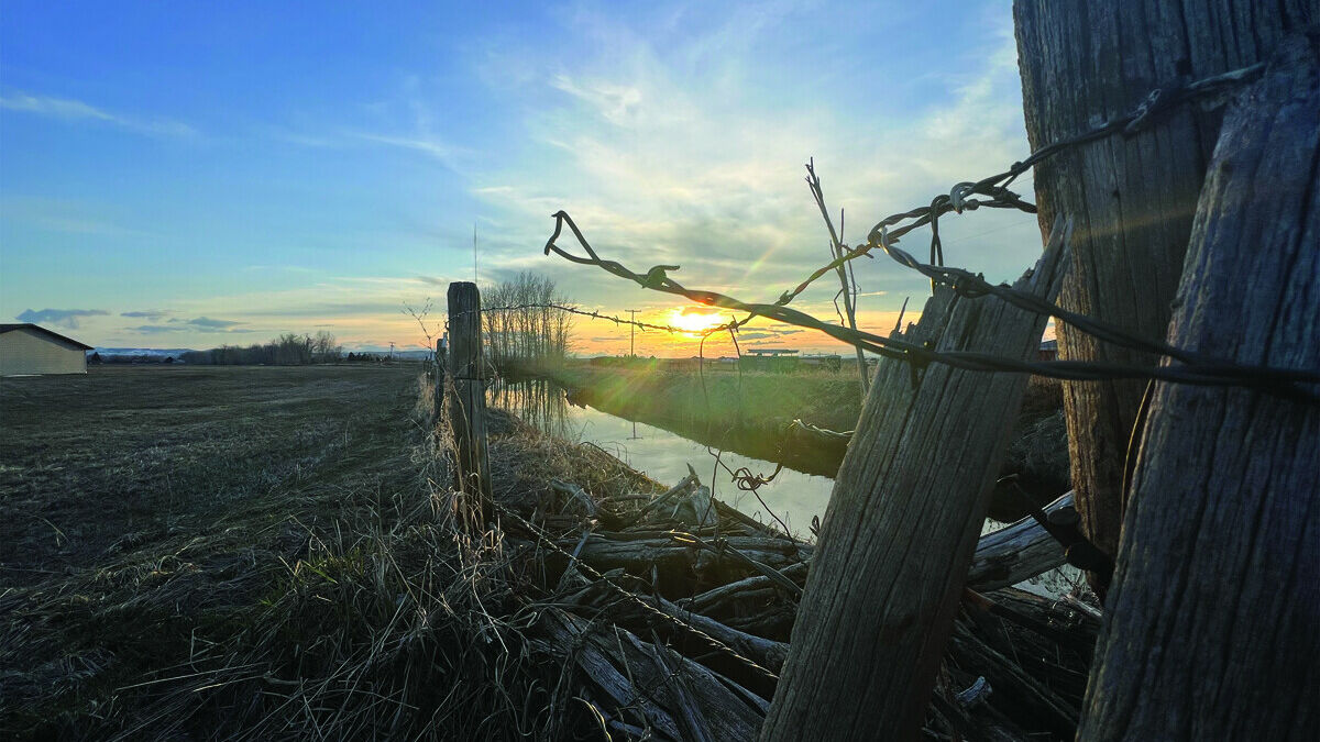 The Invention That Fenced the West