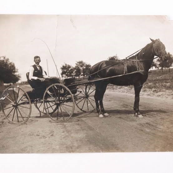 Transportation Before the Automobile