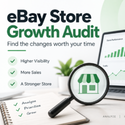 eBay Store Growth Audit